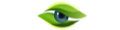 VirtualEye